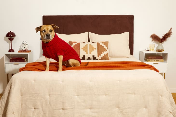 House headboard deals